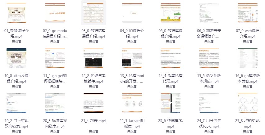 SGo语言编程大全，web微服务数据库十大专题精讲-小熊猫资源网