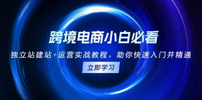 跨境电商小白必看！独立站建站+运营实战教程，助你快速入门并精通S-小熊猫资源网