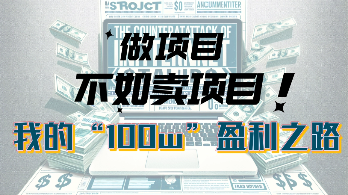 S为什么做项目不如卖项目？我的100W+盈利之路-小熊猫资源网